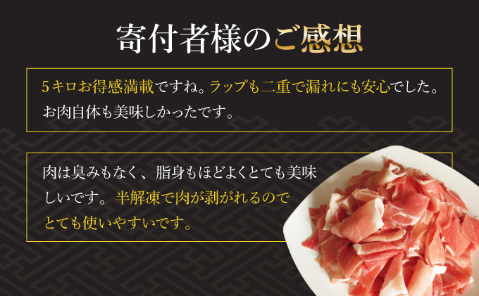 KU231 【数量限定】宮崎県産豚こま　計5kｇ(500ｇ×10パック)