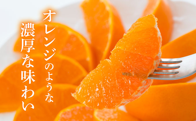 せとか6㎏(16～30玉・化粧箱)