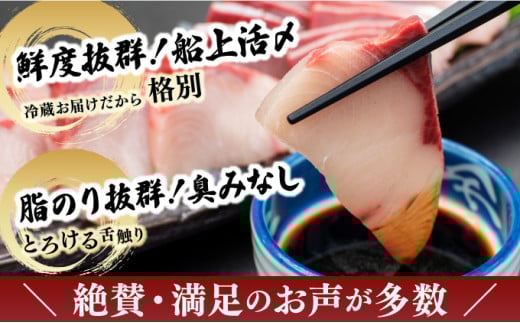 KU281-2506＜2025年6月発送分＞活じめ！黒瀬ぶりの生鮮ブリロイン2節（1.0kg前後）