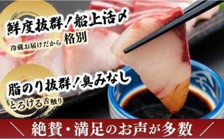 KU281-2602 ＜2026年2月発送分＞活じめ！黒瀬ぶりの生鮮ブリロイン2節（1.0kg前後）