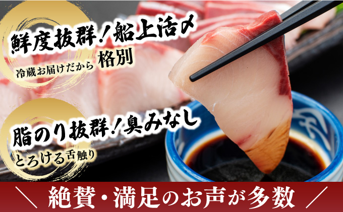 KU281-2605＜2026年5月発送分＞活じめ！黒瀬ぶりの生鮮ブリロイン2節（1.0kg前後）