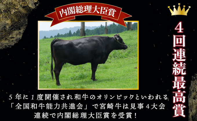 KU309-2 宮崎牛ロースステーキセット 計500g (250g×2)