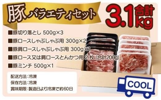 ＜2026年3月発送分＞宮崎県産豚バラエティー3.1kgセット