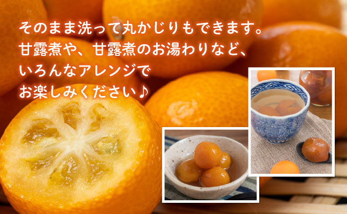 【先行予約】温室金柑 3㎏(250g×12パック)