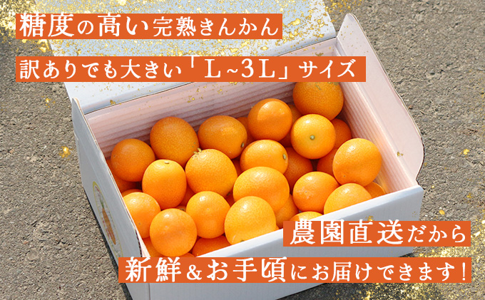 KU446 【訳あり】完熟きんかん１kg 【玉様ファーム】