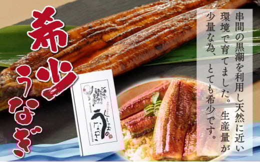 KU468-4s 【訳あり】くしまの黒潮うなぎ蒲焼　小4尾【大田商店】