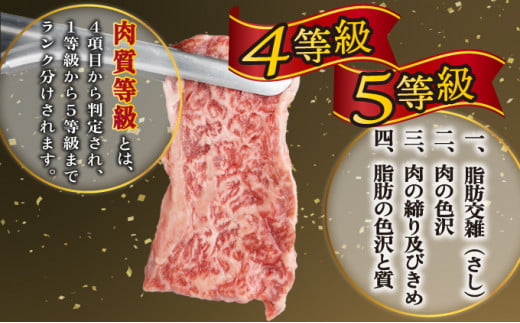 ＜2025年10月発送分＞宮崎県産 宮崎牛バラ焼肉用 250g×4パック 合計1kg