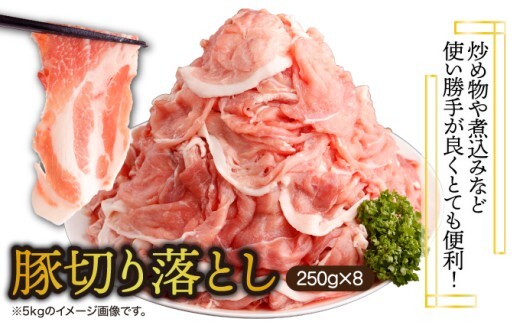 ＜2026年2月発送分＞宮崎県産 豚肉切り落とし 250g×8パック 合計2kg