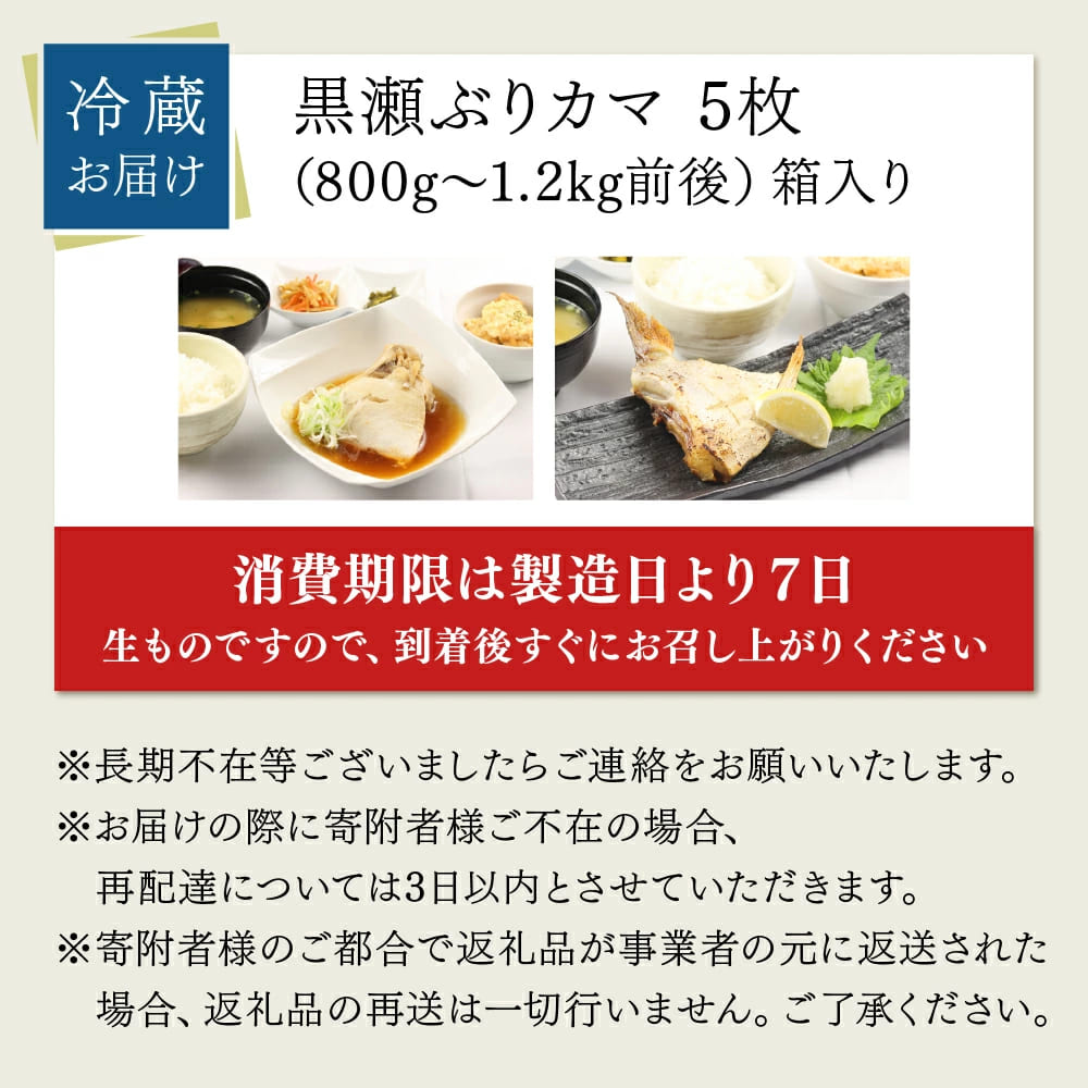 【1月発送】活じめ！黒瀬ぶりカマ（5枚入）（800g～1.2kg前後）