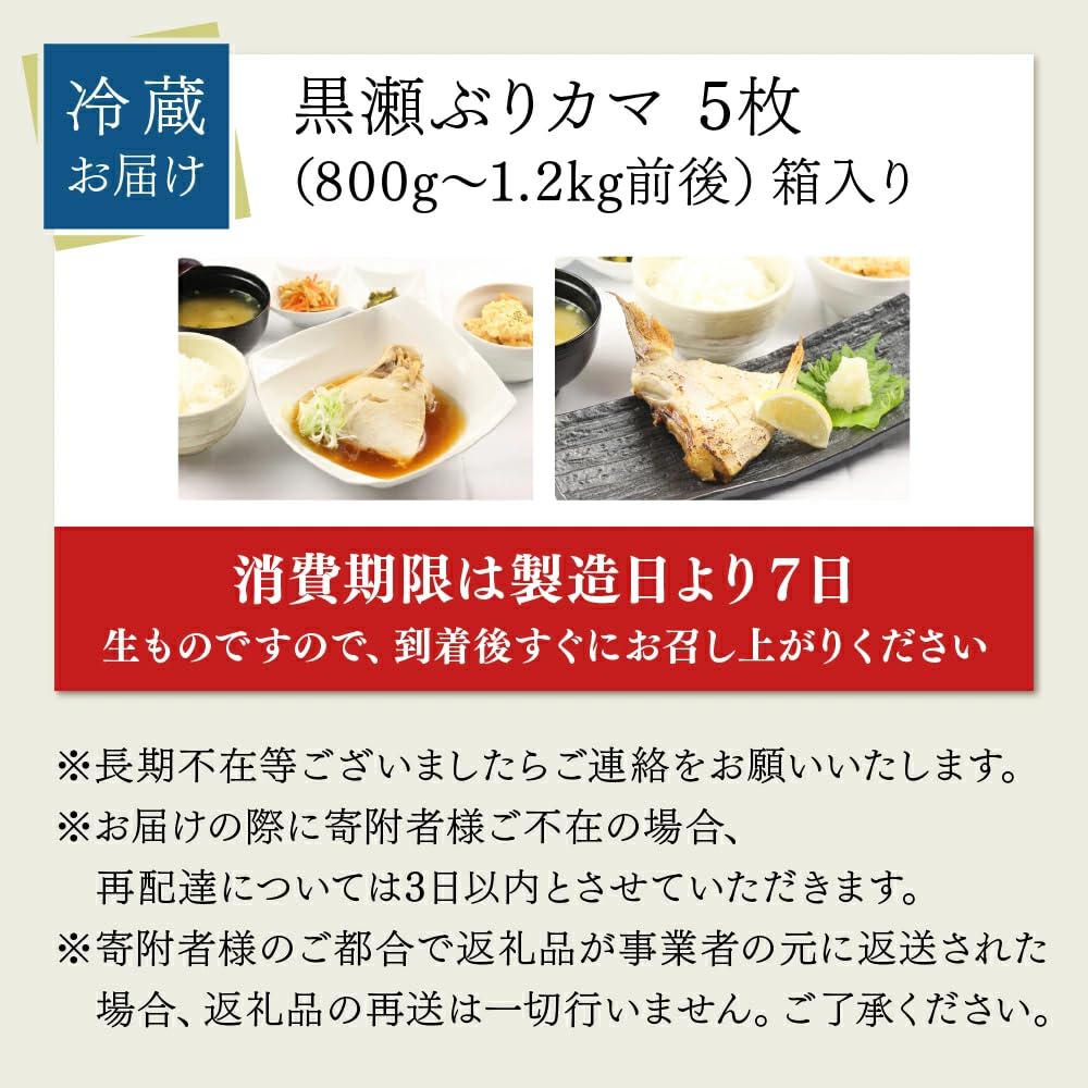 【3月発送】活じめ！黒瀬ぶりカマ（5枚入）（800g～1.2kg前後）