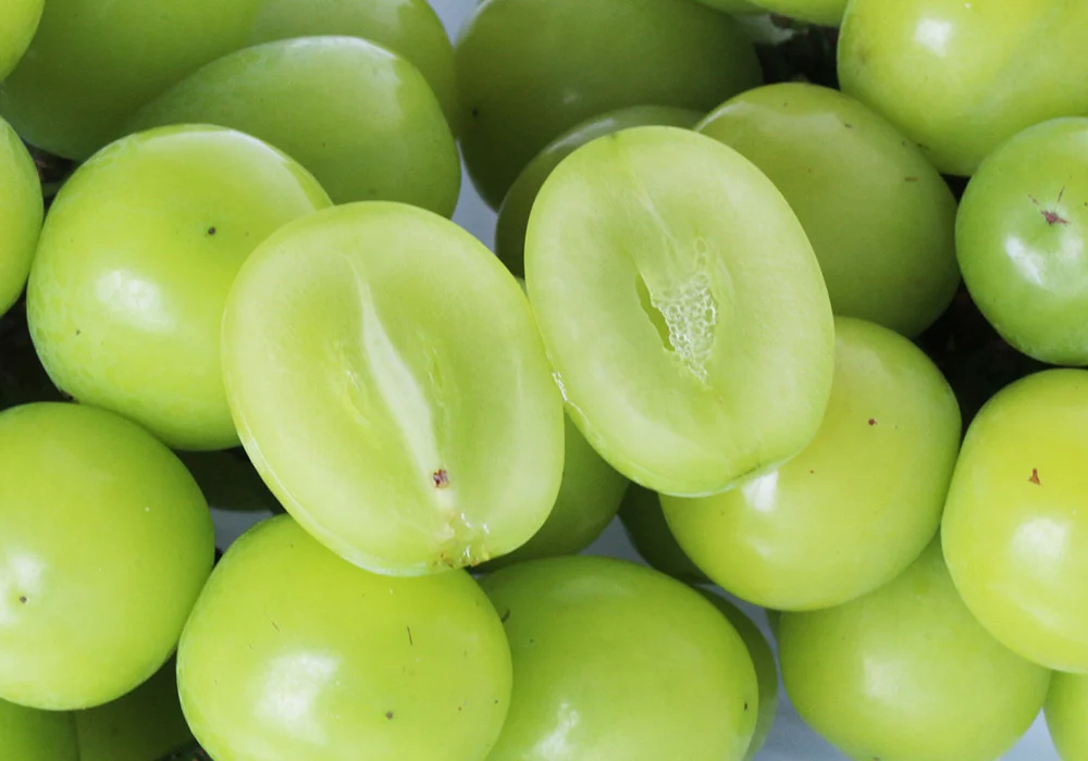 <訳あり>パック入りシャインマスカット 約2kg（2房）【KAZUSAN農園】【KZBSP2】