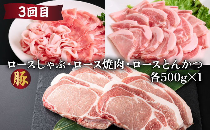 【定期便・全6回】宮崎牛・宮崎県産豚肉 6ヶ月定期便！（合計6.9kg） ロース ウデ バラ モモ 小間切れ とんかつ 焼肉 しゃぶしゃぶ BBQ 宮崎県【MCT6UB-69】