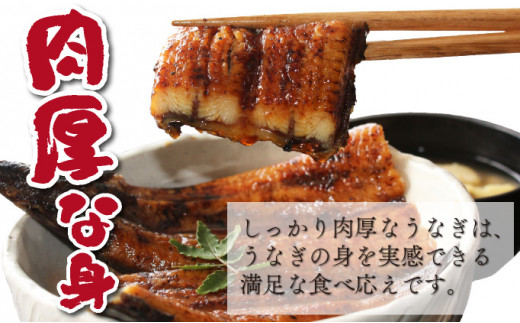 OTUTD-3【数量限定】特大くしまの黒潮うなぎ蒲焼３尾（合計750g前後）【大田商店】