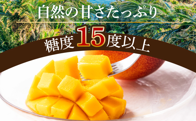 TAZ3L　＜先行予約受付中＞数量限定！宮崎完熟マンゴー (3L×2玉) 化粧箱入り【高橋マンゴー農園】【TAZ3L】