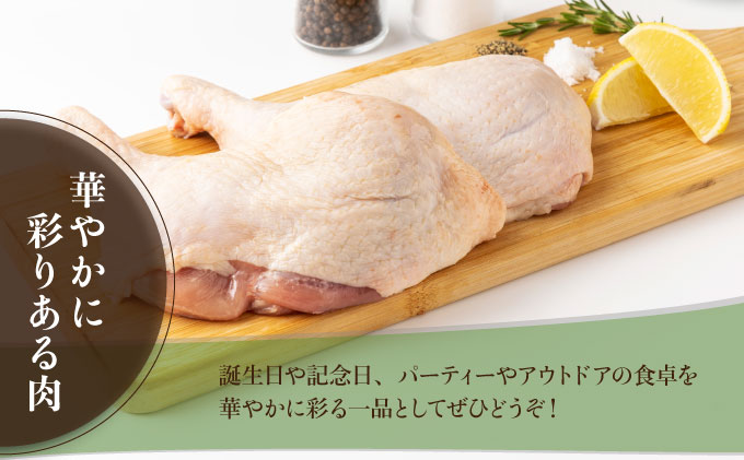 TRT05 鶏肉骨付モモ 10本セット（約2.6kg以上）