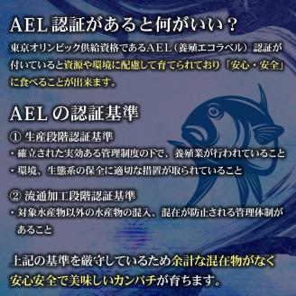 KU501 【期間限定】【先行予約】東京オリンピック供給資格「AEL(養殖エコラベル)」認証取得のカンパチ！活き〆 プレミアムフィッシュ「ｅ－かんぱち」ロイン ２節(カマ、腹骨付き)【マルエイ水産】