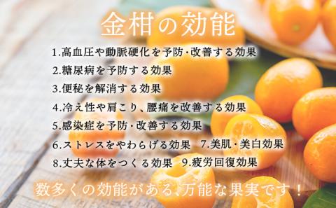 KU204 串間産きんかん使用！「無添加」にこだわったきんかんコンポートときんかんキャラメルのセット(2種・合計4個)【とみやま】_K018-003