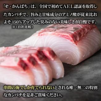 AG-CD2【先行予約】東京オリンピック供給資格「AEL(養殖エコラベル)」認証取得のカンパチ！活き〆プレミアムフィッシュ「e-かんぱち」フィーレ(お刺身約20人前)【マルエイ水産】