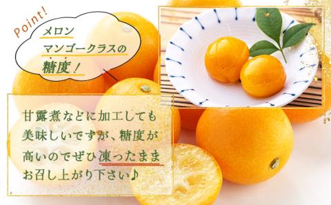 KU447 冷凍完熟きんかん８００g【玉様ファーム】