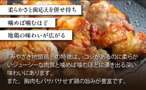U-A3 《認定農家直送！》のびのびと育てたみやざき地頭鶏の生肉セット（計1kg・モモ肉300g×2P、ムネ肉200g×2P）炭焼、ソテー、鶏すき焼きに♪【権代ファーム】