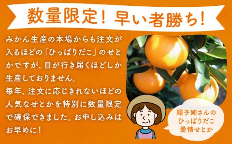 KU303 ≪数量限定≫ 順子姉さんのひっぱりだこ愛情せとか 2.5kg