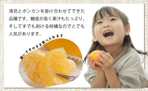 AD-AB3 ＜訳あり＞年内お届け！ふるやさんちのご家庭用温室不知火(約5kg)【ふるやさんちのみかん園】【AD-AB3】