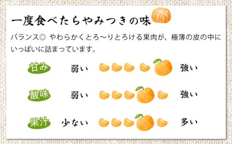 AD-AB2≪期間限定・先行予約≫　数量限定！農林水産大臣賞受賞農園！ふるやさんちの温室せとか＜秀品＞(約3kg・8～12玉入)化粧箱入【ふるやさんちのみかん園】