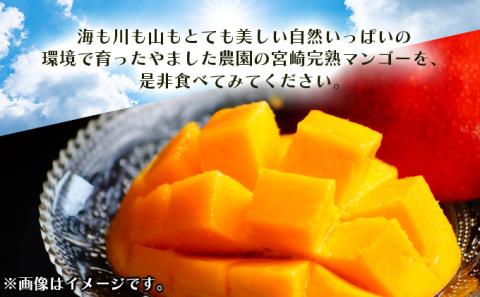 KU325 ＜先行予約＞【訳あり】宮崎完熟マンゴー(約1.8～2kg・大小混合3～5個) 【やました農園】