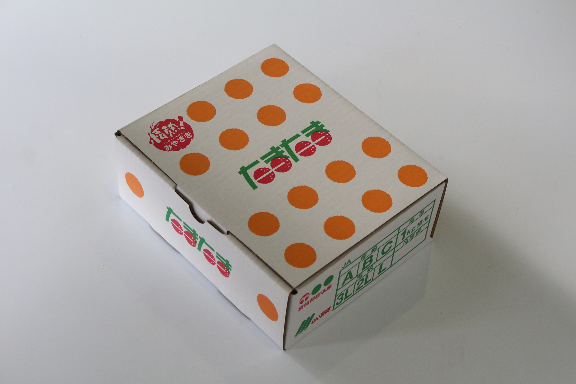 AA-A2 串間市産の完熟きんかん「たまたま」(2L・計1kg)【串間市大束農業協同組合】