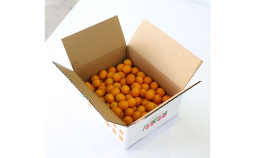 AA-C1 串間市産！完熟きんかん・たまたま（2L・計3kg）【串間市大束農業協同組合】