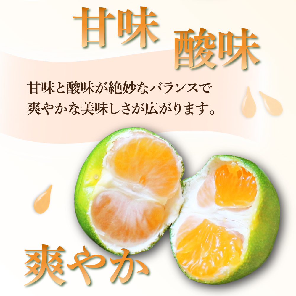 AF-A1 串間市都井「石上農園」自慢のホタル グリーンハウスミカン 5kg（約60個）【石上農園】