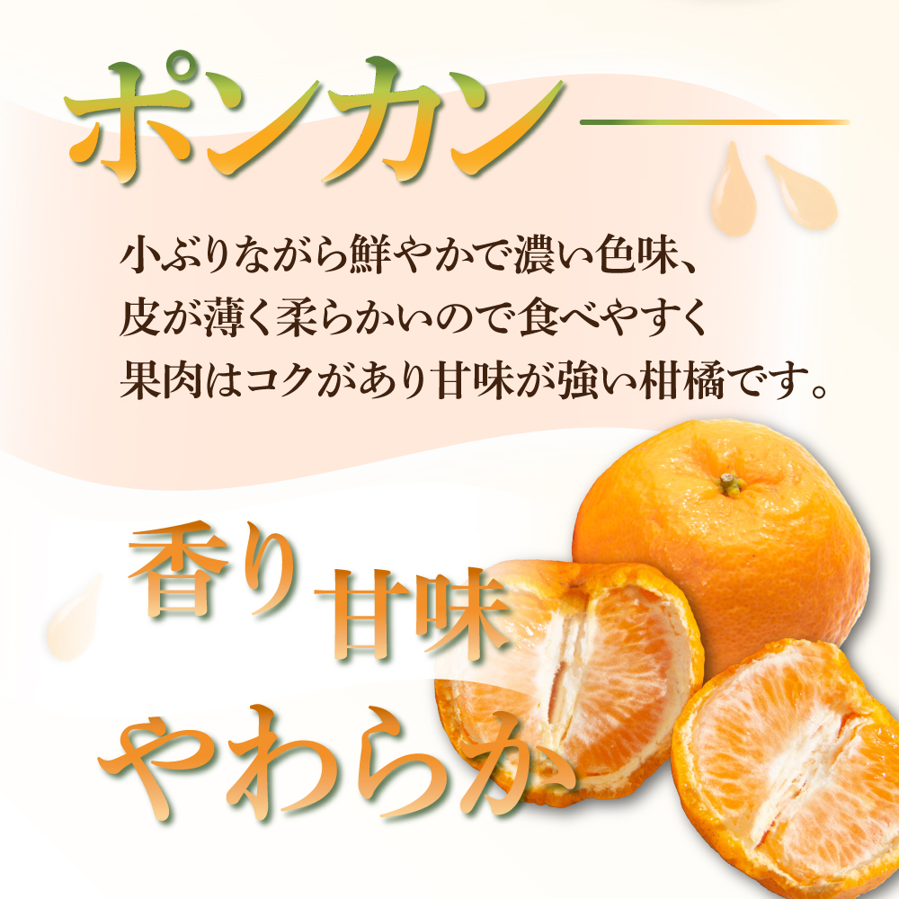 AF-A2 串間市都井「石上農園」の不知火・ポンカンセット(不知火2Lサイズ・3個、ポンカンMサイズ・30玉～35玉)【石上農園】
