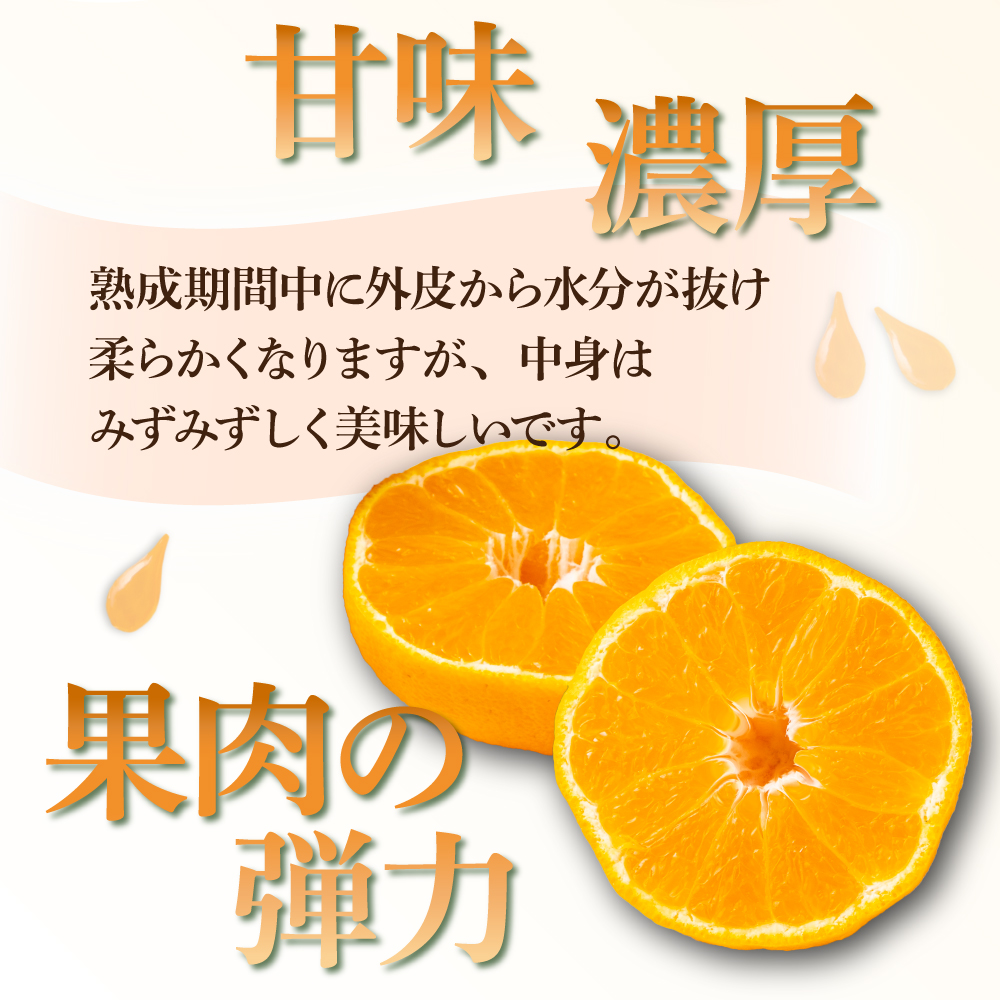 AF-A3 【先行予約】訳あり 串間市都井「石上農園」の不知火4kg(12～15玉)【石上農園】