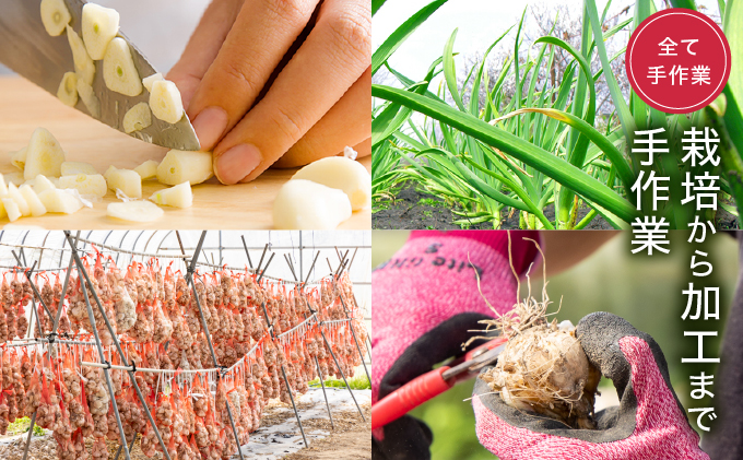 HKNIS　ひかりのにんにくチップ135gセット（15g×5袋・60g×1袋）【一般社団法人ひかり】