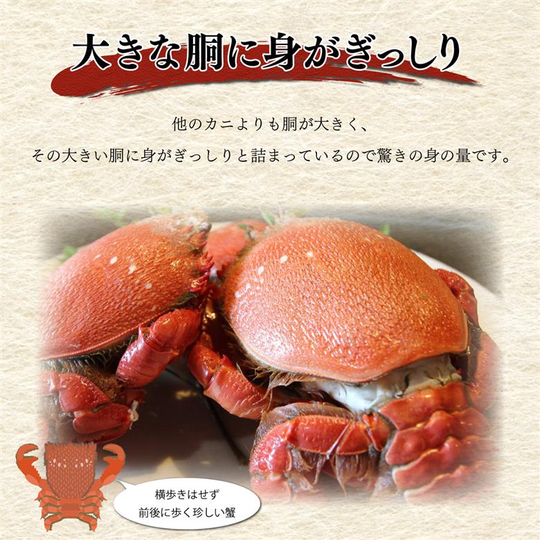 HRAGT-1 宮崎県串間産アサヒガニ 特大サイズ(計約1kg・2～3匹)【合同会社Houryoumaru】