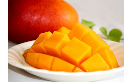 KU021 ＜先行予約・数量限定＞太陽のタマゴ・赤秀(1kg・2〜3玉) 【串間市大束農業協同組合】