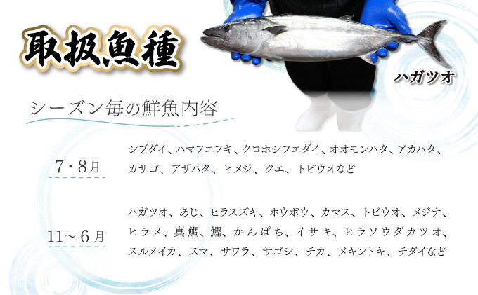 KU072 【先行予約受付中】宮崎県串間産 朝獲れ鮮魚セット計約5～6kg(6～7種)  定置網による厳選「朝獲れ鮮魚」を漁師直送！ 【合同会社Houryoumaru】
