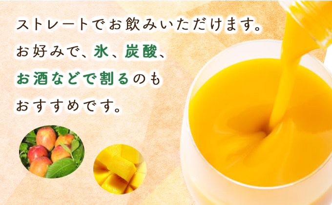 KU127 【定期便・全12回】まるでマンゴーをたべているような！マンゴードリンク(720ml×2本)×12回 トロっとした口当たりが格別【宮崎果汁】