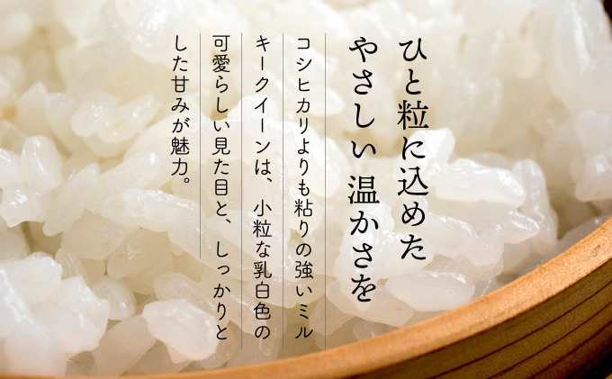 KU158_nR6【定期便・全2回】令和6年産「超早場米」ミルキークイーン 計10kg（5kg×2回）【中島米穀店】
