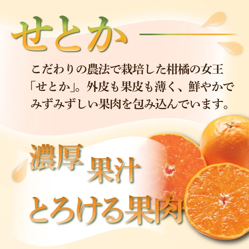 KU167 【先行予約】【定期便・全4回】石上農園から自慢の柑橘フルコース便　【石上農園】