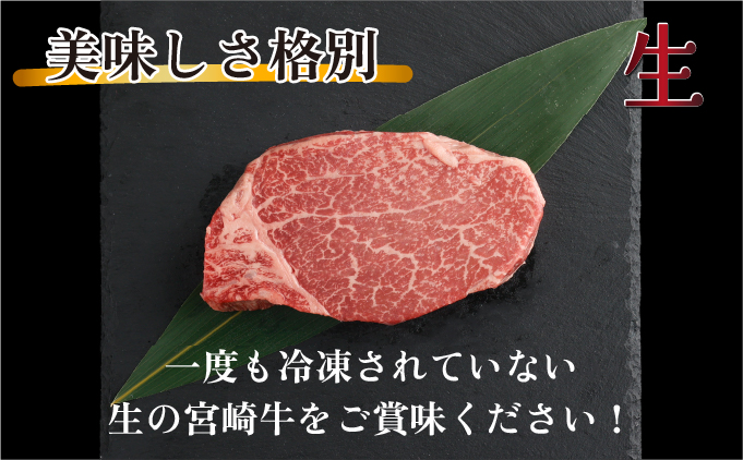 KU206-8＜冷蔵・真空包装＞希少部位！A4等級以上！宮崎牛ヒレステーキ8枚（約960g）【スーパーほりぐち】