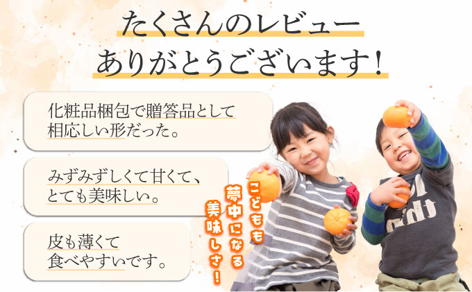 せとか6㎏(16～30玉・化粧箱)