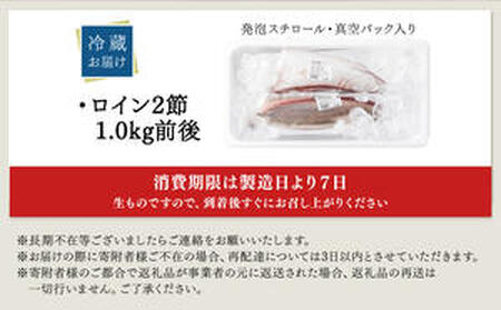 KU281-2603 ＜2026年3月発送分＞活じめ！黒瀬ぶりの生鮮ブリロイン2節（1.0kg前後）