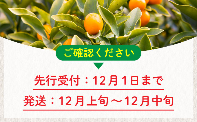 【先行予約】温室金柑 2・(250g×8パック)