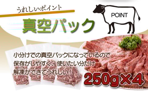 ＜2025年9月発送分＞宮崎県産 宮崎牛バラ焼肉用 250g×4パック 合計1kg