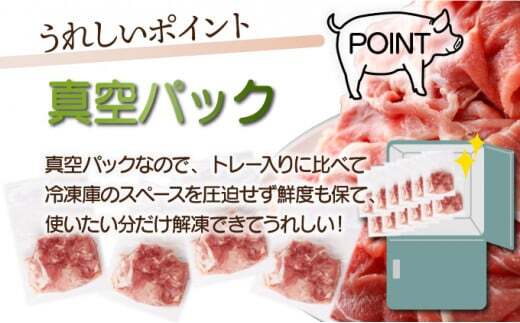 ＜2026年2月発送分＞宮崎県産 豚肉切り落とし 250g×8パック 合計2kg