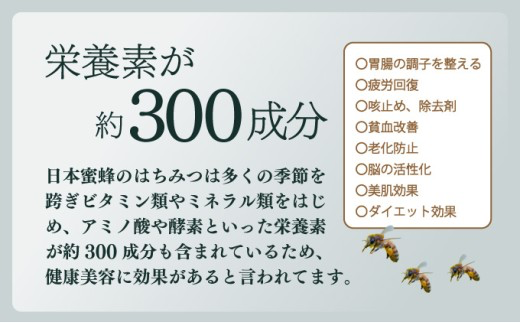 P-F1 サポートも致します「日本蜜蜂養蜂スターターキット」2個セット 【QCompany】