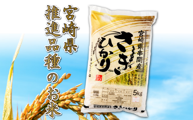 T-B2 ＜令和7年産＞宮崎県串間市産 超早場米「さきひかり」5kg(5kg×1袋)【松田農産】