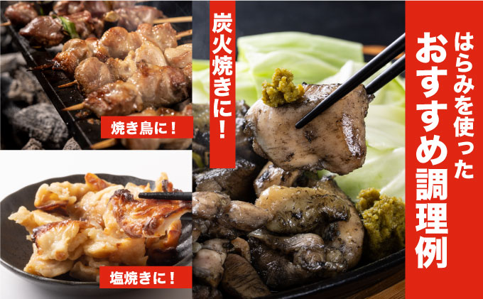 TRT12 若鶏はらみ3kgセット