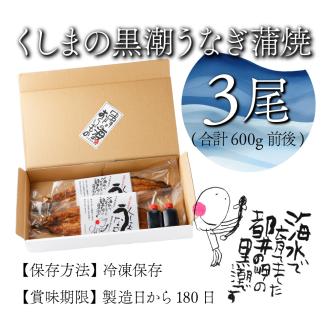 KU469-3 くしまの黒潮うなぎ蒲焼３尾（合計600g前後）【大田商店】
